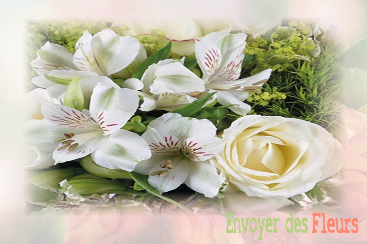 envoyer des fleurs à à SAINT-JEAN-DE-BRAYE
