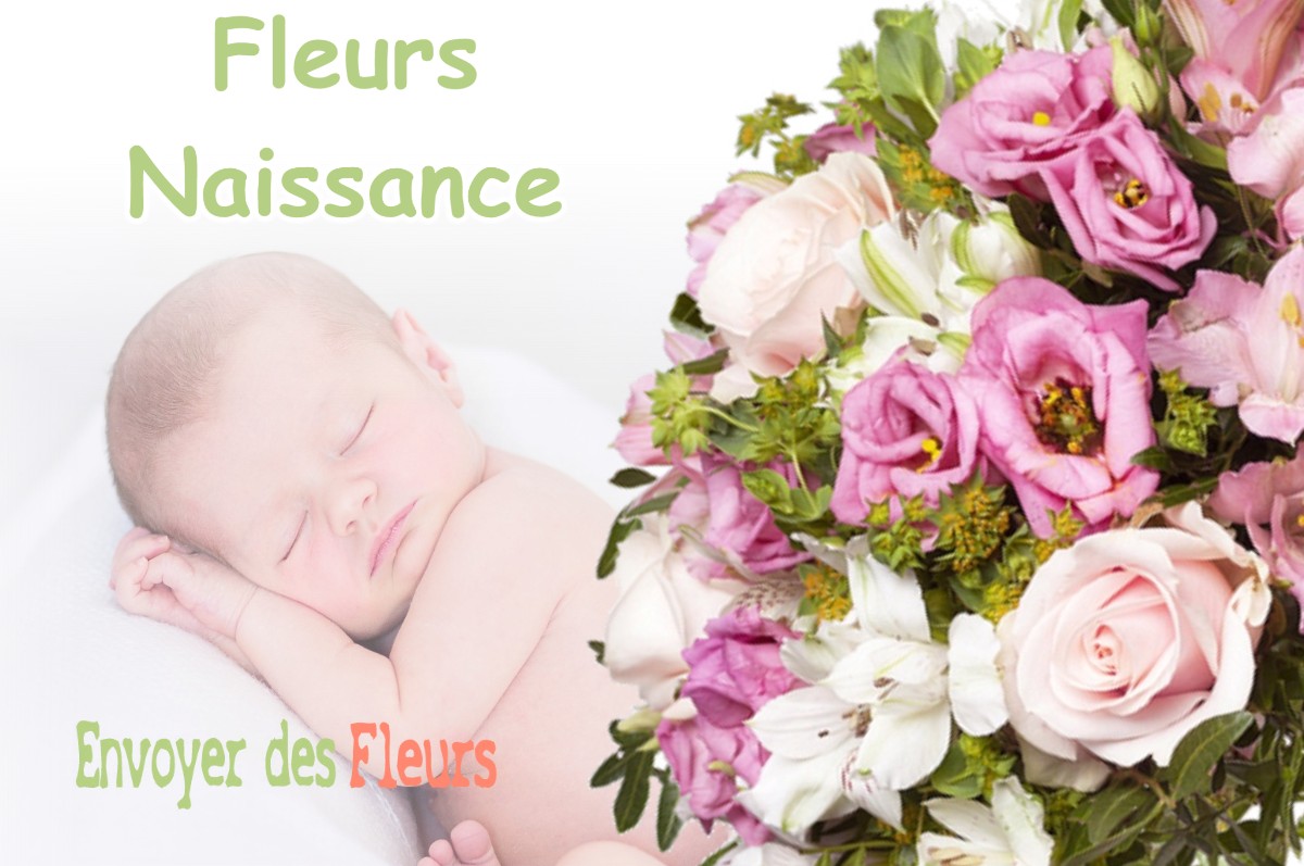 lIVRAISON FLEURS NAISSANCE à SAINT-JEAN-DE-BRAYE